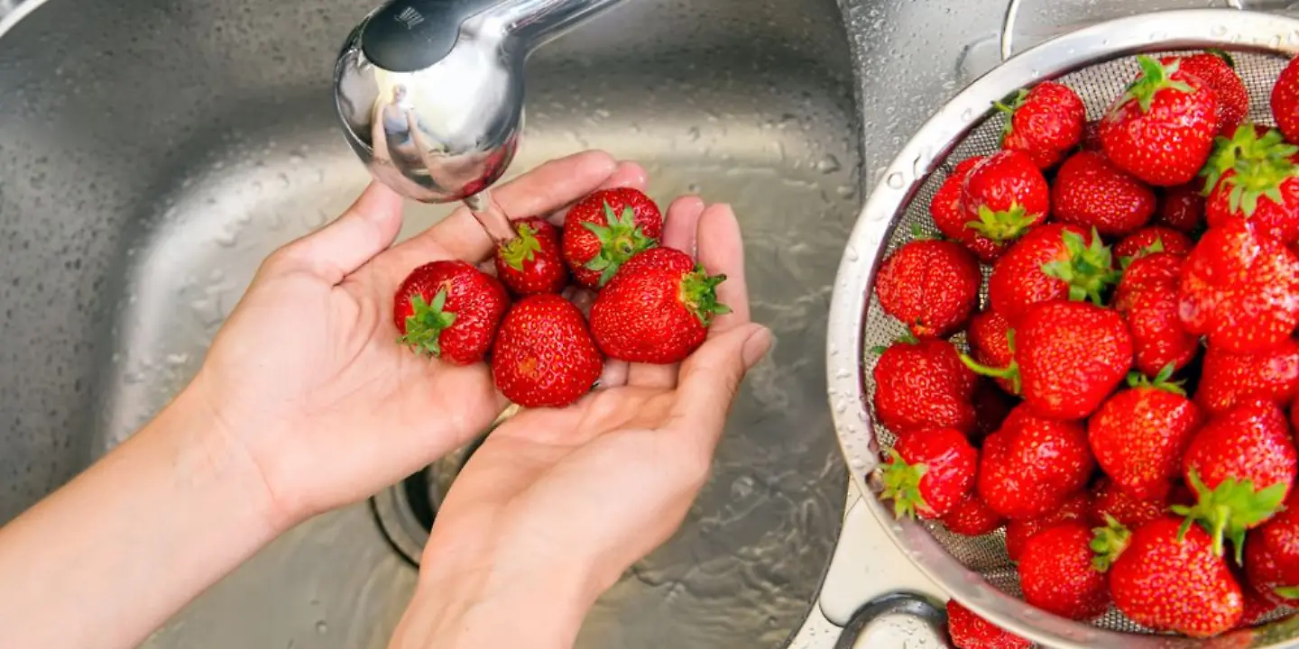 Erdbeeren_werden_gewaschen.jpg